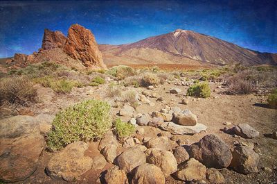 Scenic view of landscape against clear sky