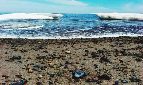 Scenic view of sea shore