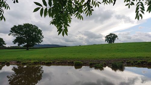 Scenic view of landscape against sky