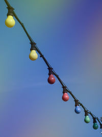 Low angle view of tree hanging against blurred background