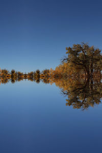 Scenic view of lake against clear blue sky