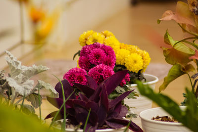 Close-up of yellow flowering plant on table