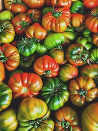 Full frame shot of pumpkins