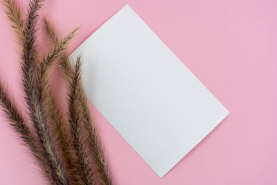 High angle view of paper over colored background