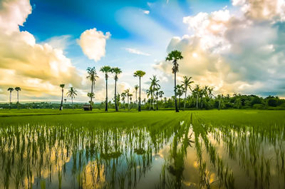 Scenic view of lake against sky