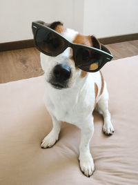Portrait of puppy sitting on floor at home