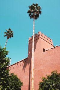 Low angle view of palm trees against clear sky