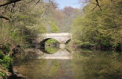 Arch bridge over water against sky