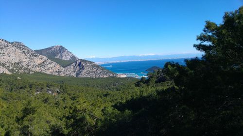 Scenic view of landscape against blue sky