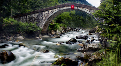 Bridge over river against trees