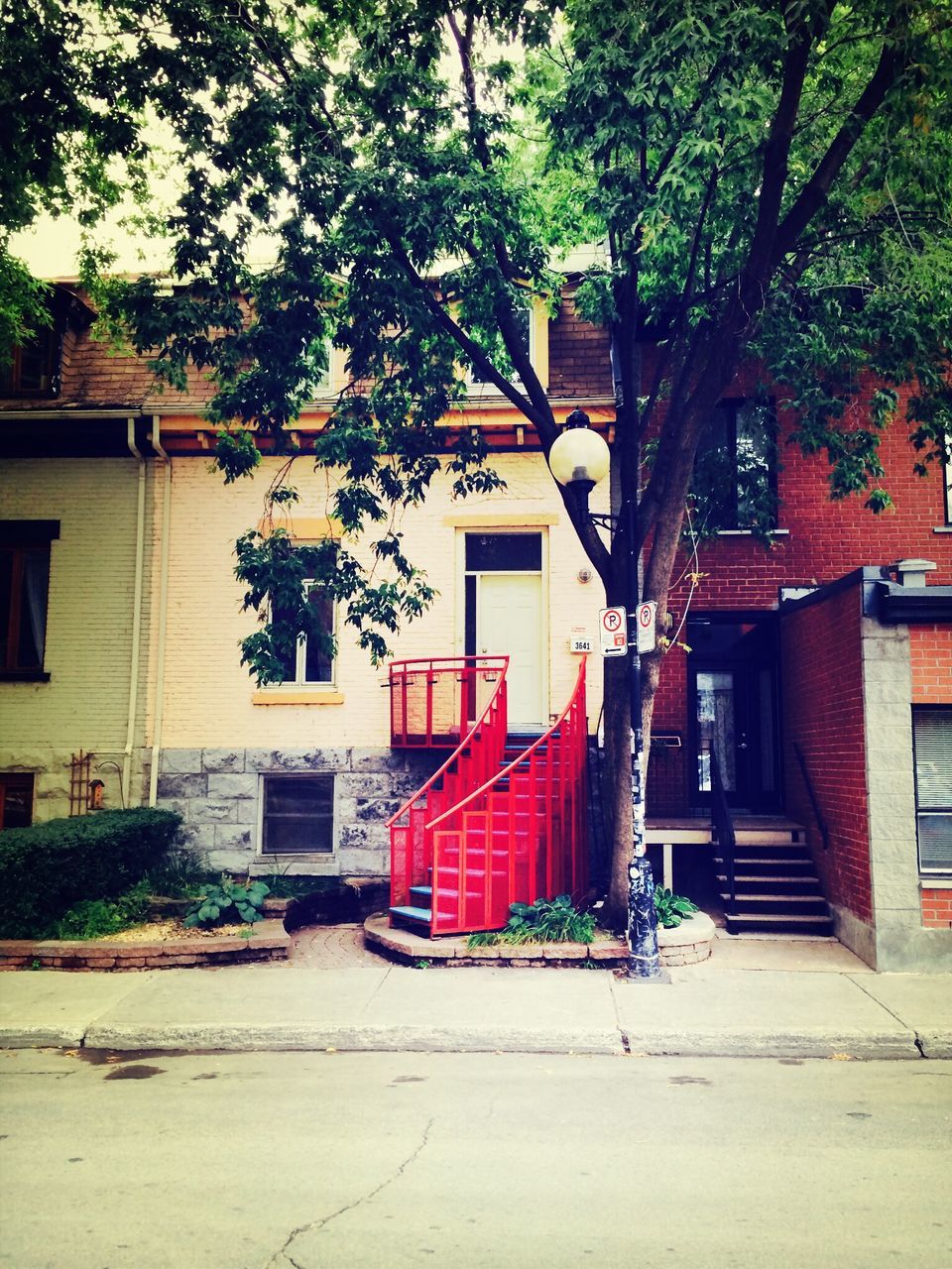 HOUSES BY TREES IN CITY