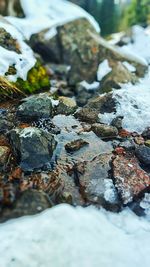 Close-up of rocks in stream