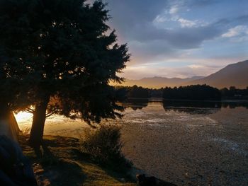 Silhouette trees by lake against sky during sunset