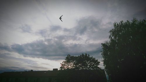 Low angle view of silhouette birds flying against sky