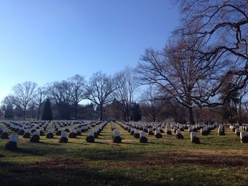 Scenic view of bare trees against clear sky