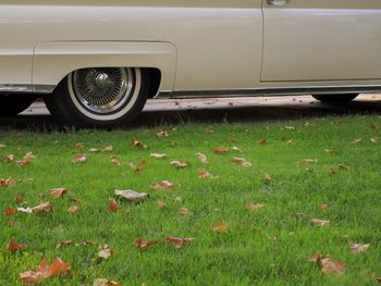 Vintage car on field