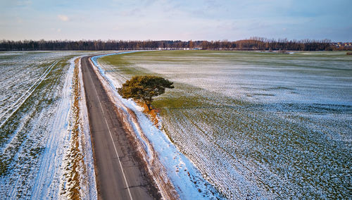 Road amidst trees against sky during winter