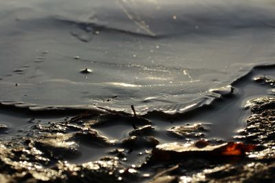 Close-up of water drop on lake against sky during sunset