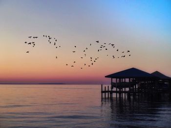 Silhouette birds flying over gazebo and sea during sunset