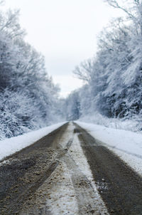 Road passing through trees