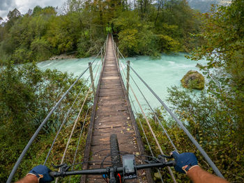 Footbridge amidst trees in forest