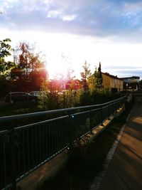 Footpath by trees against sky during sunset