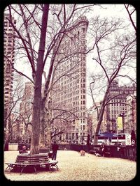 Bare trees in front of buildings