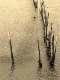 High angle view of wooden post in lake