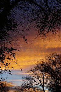 Silhouette trees against dramatic sky during sunset