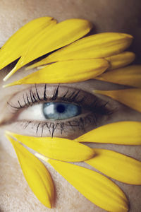 Close-up of yellow flower