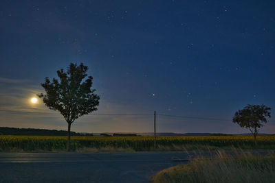 Trees on field against sky at night