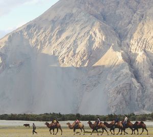 Panoramic shot of man grazing in desert against sky