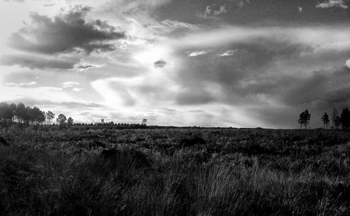 Scenic view of field against cloudy sky