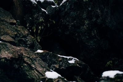 Close-up of rocks