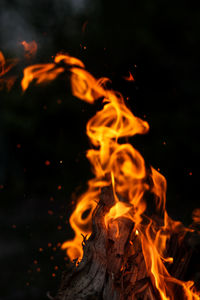 Close-up of fire at night