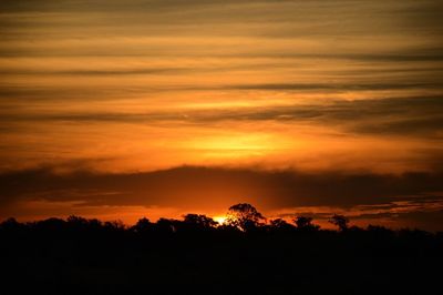 Silhouette trees against scenic sky