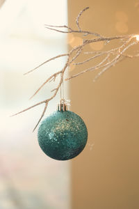 Close-up of christmas decorations hanging on tree