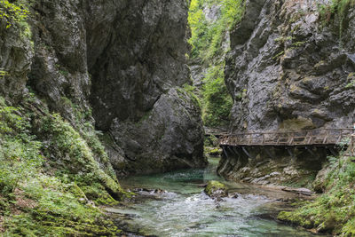 Stream flowing through rocks in forest