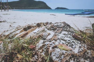 Close-up of rocks on beach