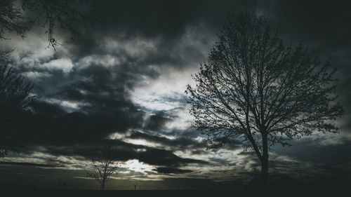 Low angle view of bare tree against dramatic sky