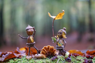Close-up of figurine made from acorns and mushroom