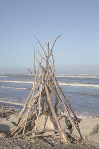 Driftwood on beach against clear sky