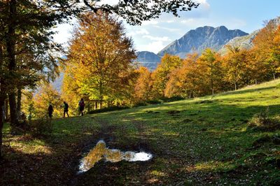 Scenic view of autumnal trees by road against sky during autumn