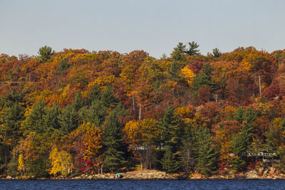 Scenic view of trees by lake against sky during autumn