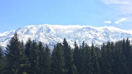 Scenic view of snow covered mountains