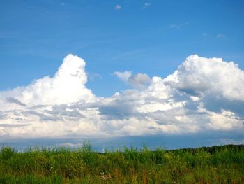 Scenic view of field against sky