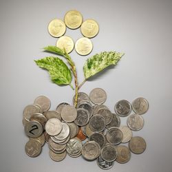 Close-up of coins on white background