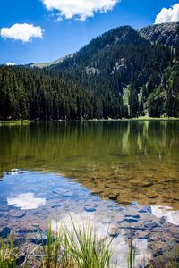 Scenic view of lake by trees against sky