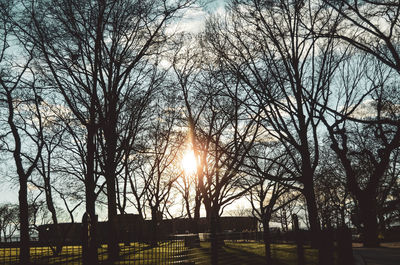 Bare trees against sky during sunset