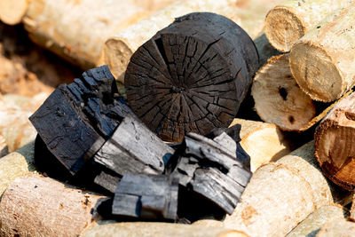 Close-up of logs in forest